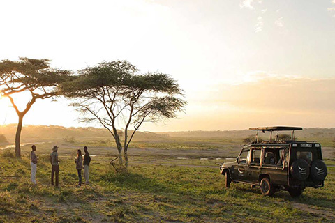 Serengeti1.jpg