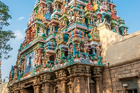 india-Madurai-Meenakshi.jpg