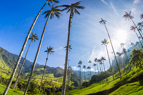 COLOMBIA CON ENCANTO Y MEDELLÍN 