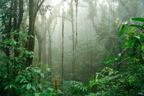 COSTA RICA Y SUS MARAVILLAS