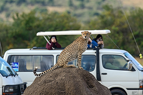 KENYA Y TANZANIA, SAFARI NYOKA SUPERIOR