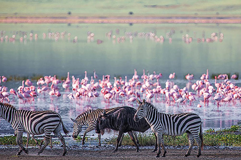 TIERRAS DE TANZANIA, SERENA LODGES