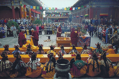 Viajes Fama S.A de C.V. Operadora Mayorista