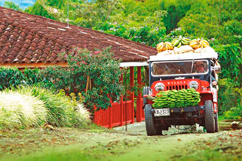 SALIDA GARANTIZADA COLOMBIA CON ENCANTO 