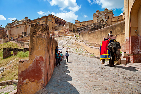 Viajes Fama S.A de C.V. Operadora Mayorista