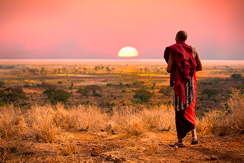 Viajes Fama S.A de C.V. Operadora Mayorista