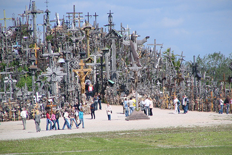 Viajes Fama S.A de C.V. Operadora Mayorista