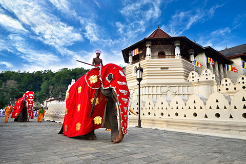 SRI LANKA AL COMPLETO