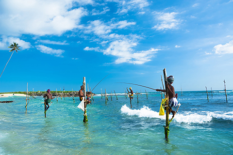 INCREIBLE SRI LANKA