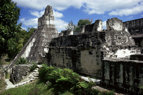 GUATEMALA Y TIKAL