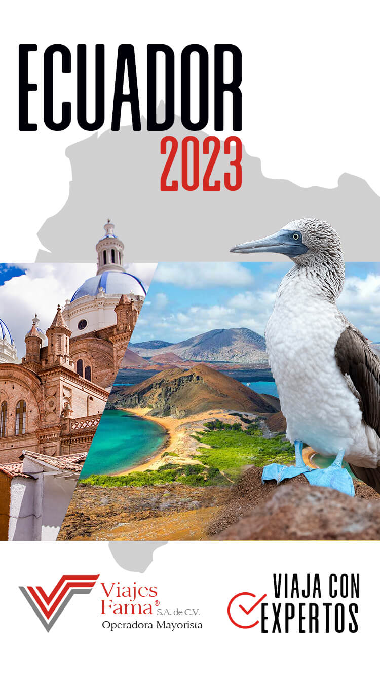 Viajes Fama Catalogo 2019